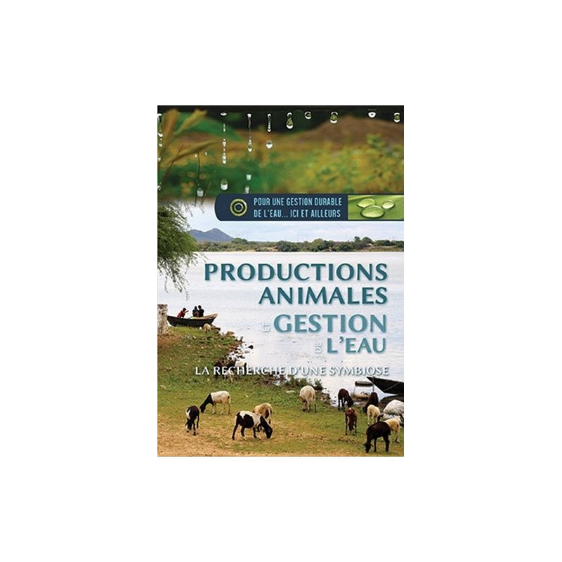 TITRE FICHE VIERGE CRÉATION DVD (occasion)(neuf)