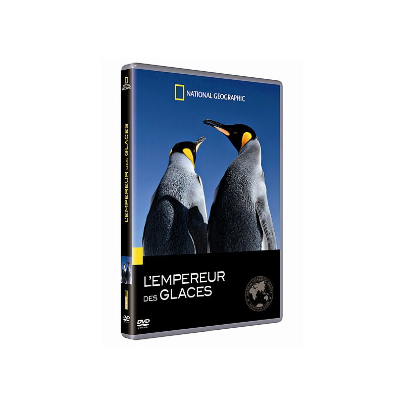 TITRE FICHE VIERGE CRÉATION DVD (occasion)(neuf)