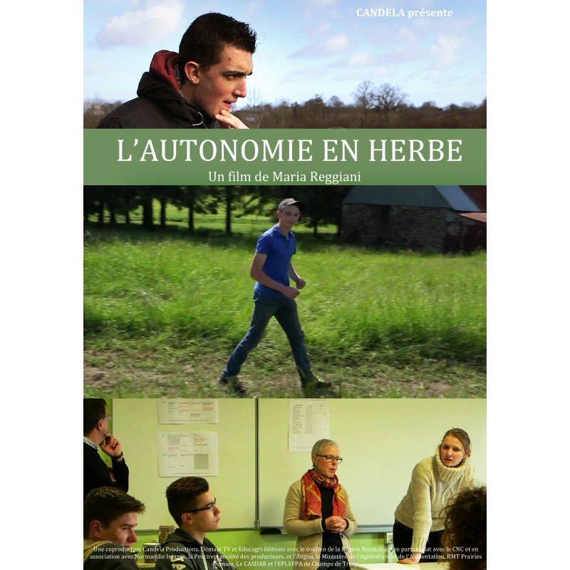 TITRE FICHE VIERGE CRÉATION DVD (occasion)(neuf)