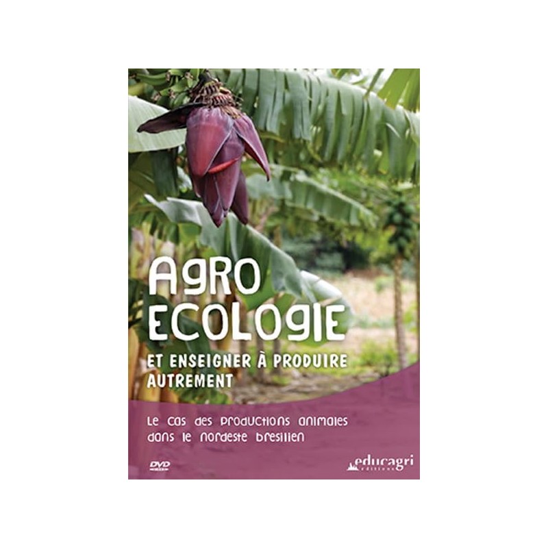 TITRE FICHE VIERGE CRÉATION DVD (occasion)(neuf)