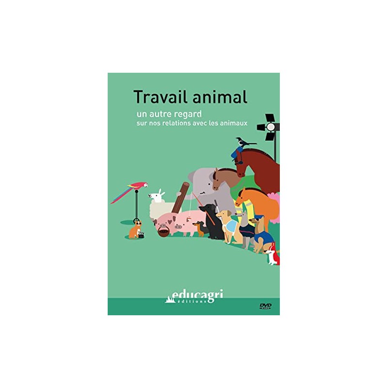 TITRE FICHE VIERGE CRÉATION DVD (occasion)(neuf)