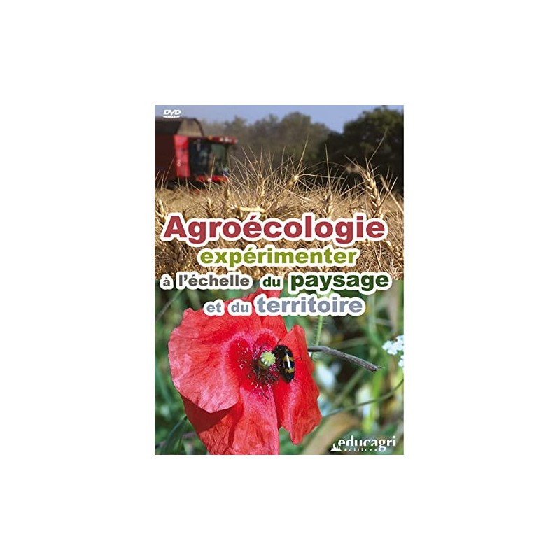 TITRE FICHE VIERGE CRÉATION DVD (occasion)(neuf)