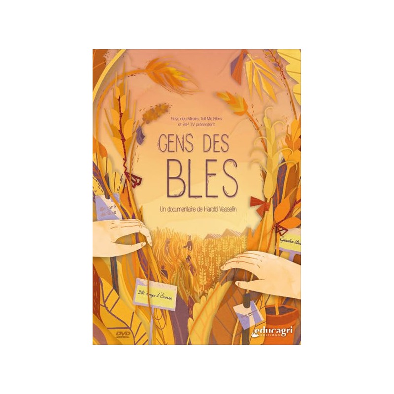 TITRE FICHE VIERGE CRÉATION DVD (occasion)(neuf)