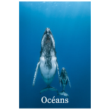 TITRE FICHE VIERGE CRÉATION LIVRE (Occasion)