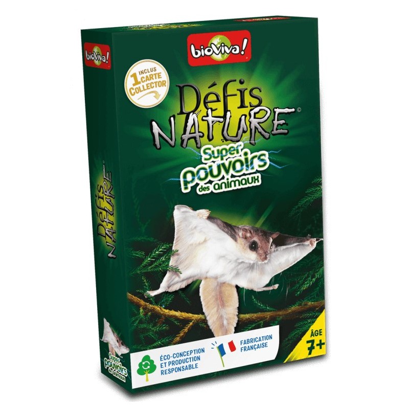 Appeau Bergeronnette