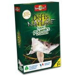 Appeau Bergeronnette