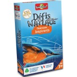 Appeau Bergeronnette