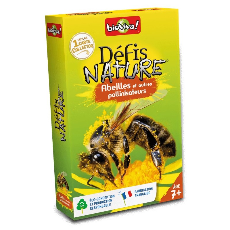 Appeau Bergeronnette