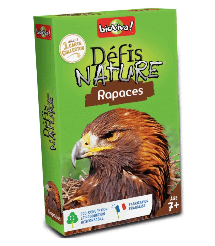 Appeau Bergeronnette