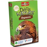 Appeau Bergeronnette