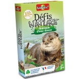 Appeau Bergeronnette