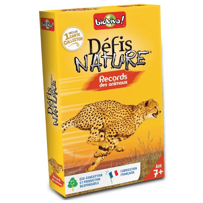 Appeau Bergeronnette