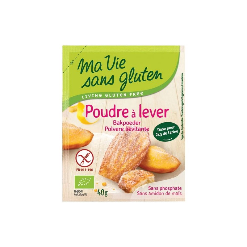 Poudre à Lever bio & sans gluten