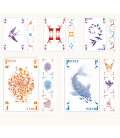 Un jeu de 54 cartes poétique et solidaire - Nuées-