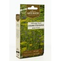 MÉLANGE FLEURI - Auxilliaires et Pollinisateurs  - Semences reproductibles bio