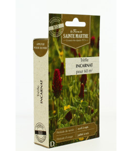 TREFLE Incarnat 150 g - Semences reproductibles bio