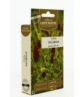 TREFLE Incarnat 150 g - Semences reproductibles bio