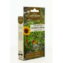 MÉLANGE FLEURI - Nourrir les abeilles  - Semences reproductibles bio