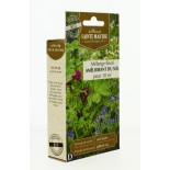 MÉLANGE FLEURI - Auxilliaires et Pollinisateurs AB  - Semences reproductibles bio