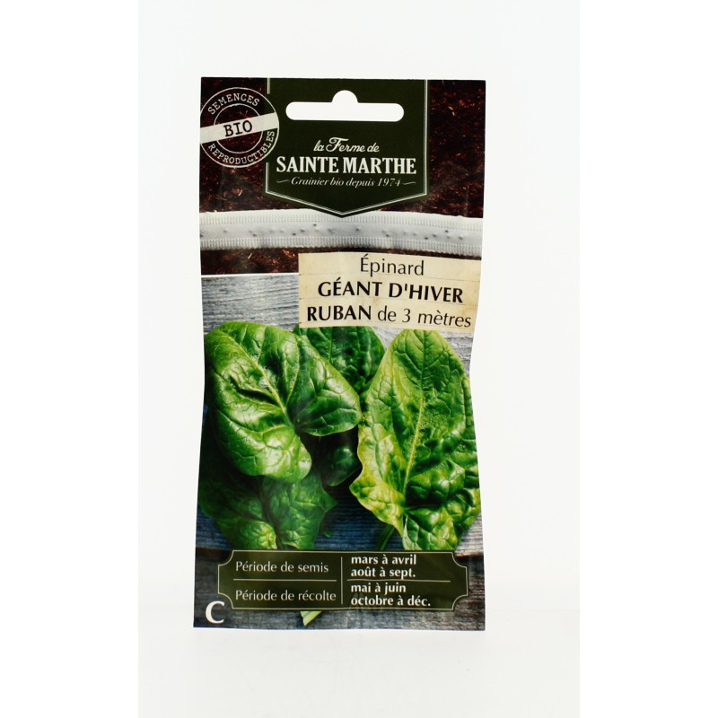Epinard Géant d'Hiver- Semences reproductibles bio