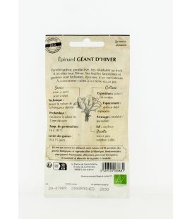 Epinard Géant d'Hiver- Semences reproductibles bio
