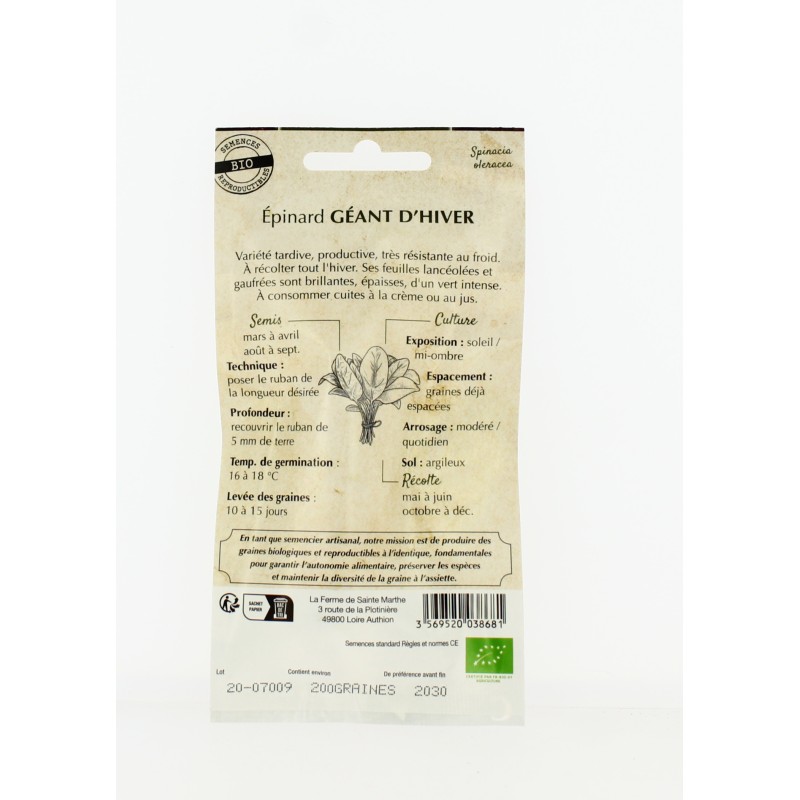 Epinard Géant d'Hiver- Semences reproductibles bio