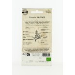 RoquetteSauvage - Semences reproductibles bio