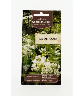 Ail des Ours - Semences reproductibles bio