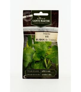 Mâche Vit - Semences reproductibles bio