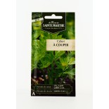 Céleri à couper - Semences reproductibles bio