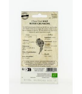 Chou Curly Kale Roter Grunkohl - Semences reproductibles bio