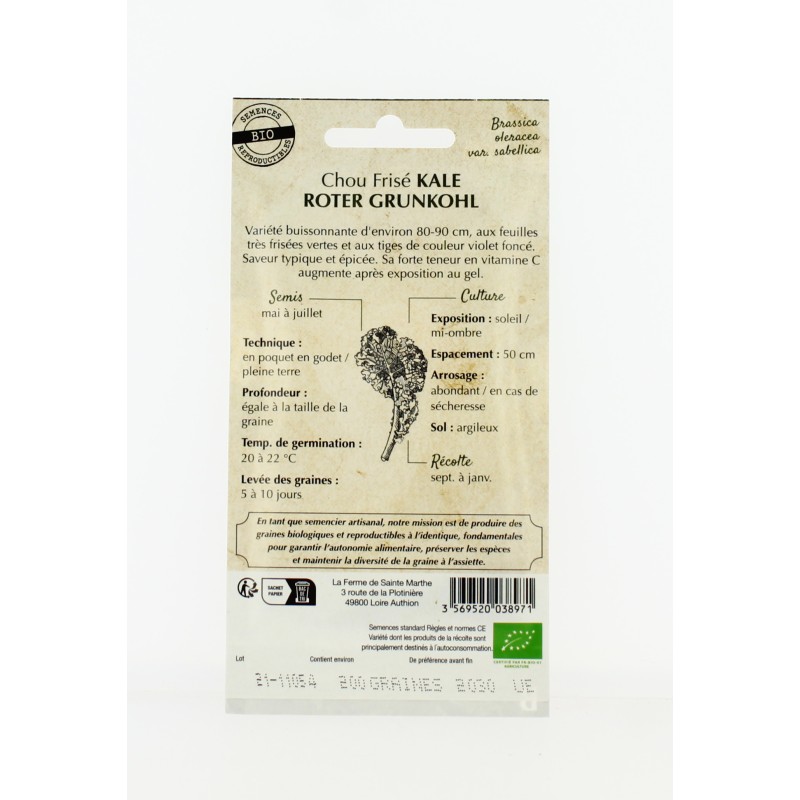 Chou Curly Kale Roter Grunkohl - Semences reproductibles bio