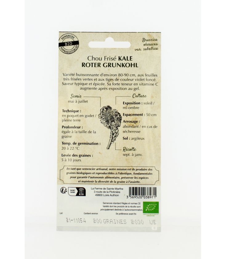 Chou Curly Kale Roter Grunkohl - Semences reproductibles bio