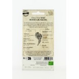 Chou Curly Kale Roter Grunkohl - Semences reproductibles bio