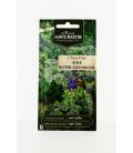 Chou Curly Kale Roter Grunkohl - Semences reproductibles bio