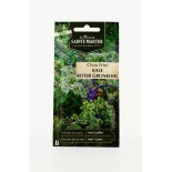 Chou Curly Kale Roter Grunkohl - Semences reproductibles bio