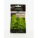 Laitue Cressonette Marocaine - Semences reproductibles bio