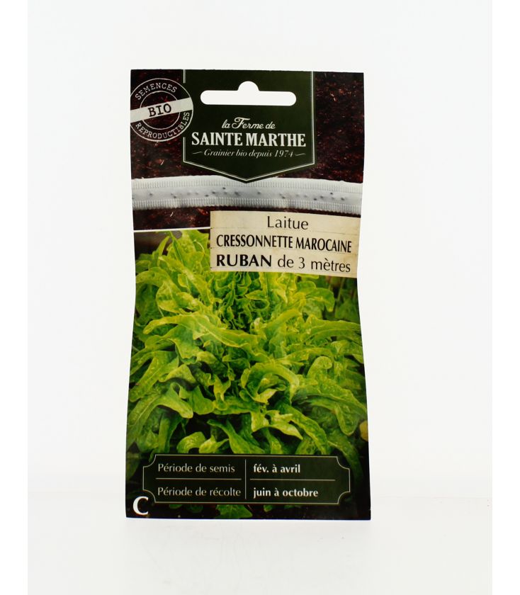 Laitue Cressonette Marocaine - Semences reproductibles bio