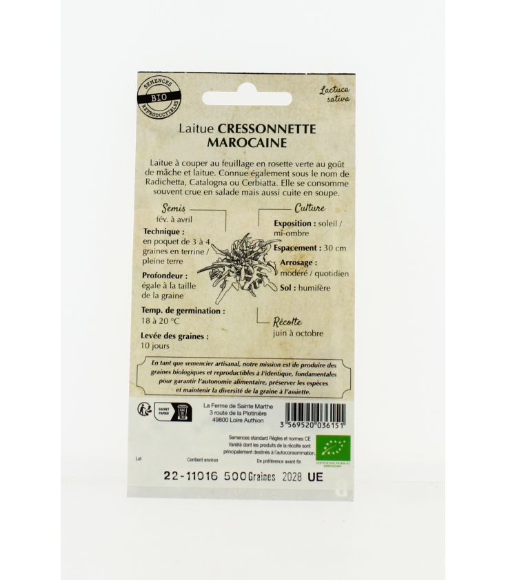 Laitue Cressonette Marocaine - Semences reproductibles bio
