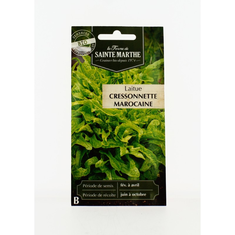 Laitue Cressonette Marocaine - Semences reproductibles bio