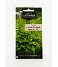 Laitue Cressonette Marocaine - Semences reproductibles bio