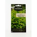 Laitue Cressonette Marocaine - Semences reproductibles bio