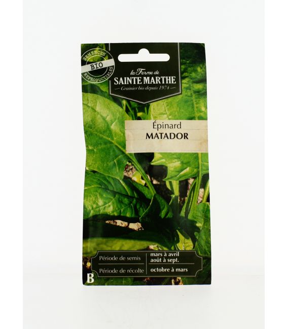 EPINARD Matador AB- Semences reproductibles bio