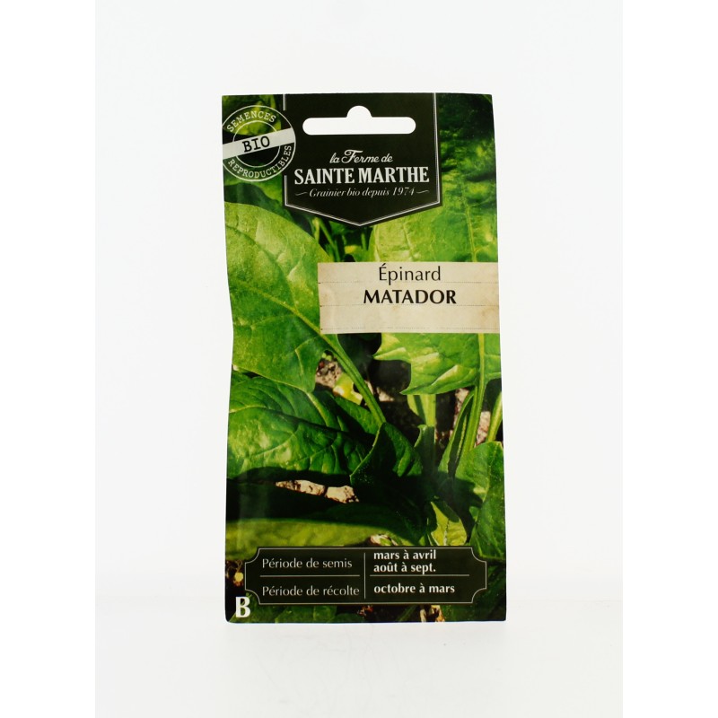 EPINARD Matador AB- Semences reproductibles bio