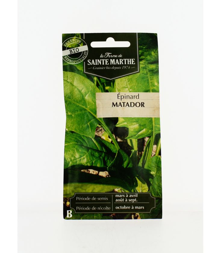 EPINARD Matador AB- Semences reproductibles bio