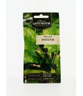 EPINARD Matador AB- Semences reproductibles bio