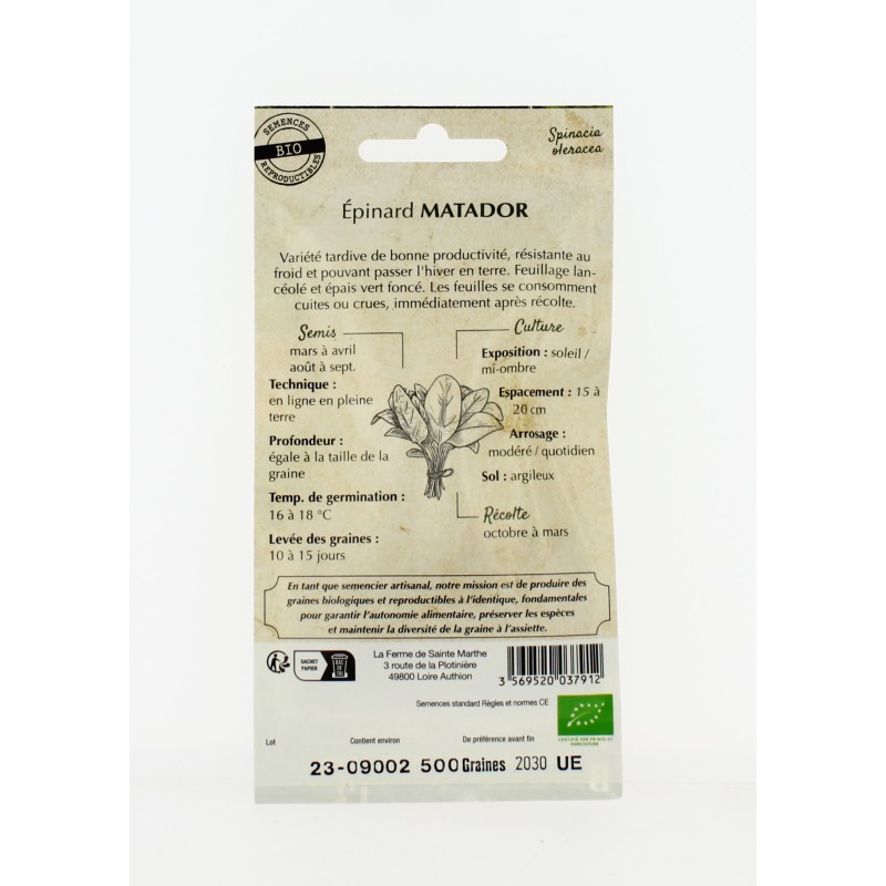 EPINARD Matador AB- Semences reproductibles bio