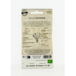 EPINARD Matador AB- Semences reproductibles bio