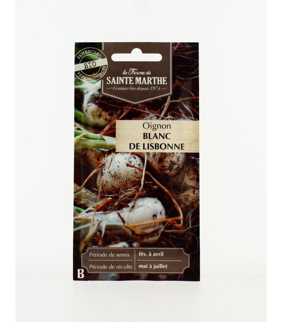 OIGNON Blanc de Lisbonne AB- Semences reproductibles bio