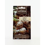 OIGNON Blanc de Lisbonne AB- Semences reproductibles bio